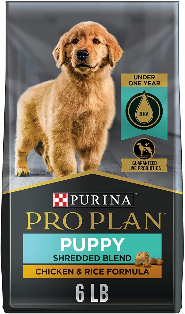 17 Best Dog Foods For Golden Retrievers (+ puppy food & tips)