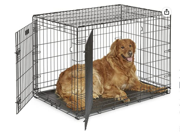 What Size Crate For Golden Retriever (& which type to buy!)