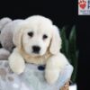 Image of Pearl, a Golden Retriever puppy